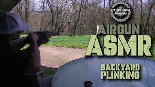 Airgun ASMR - Backyard Plinking