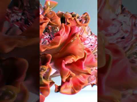 corals | Blender