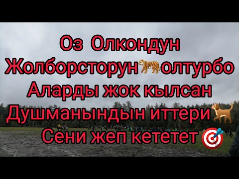 Video: Кандай актерлор легендарлуу спортчуларды ойношту