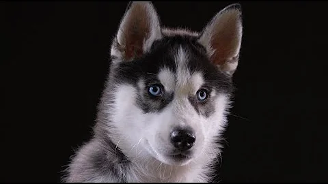 Mission III Arrives to Fanfare