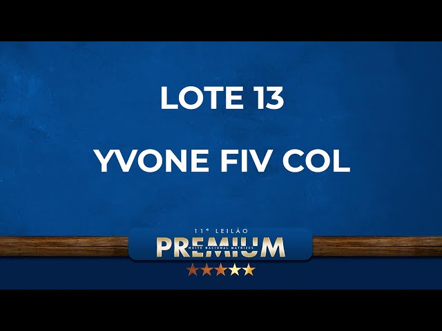 LOTE 13   YVONE FIV COL   COL 29505