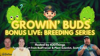 Growin' Buds BONUS LIVE: Breeding Series