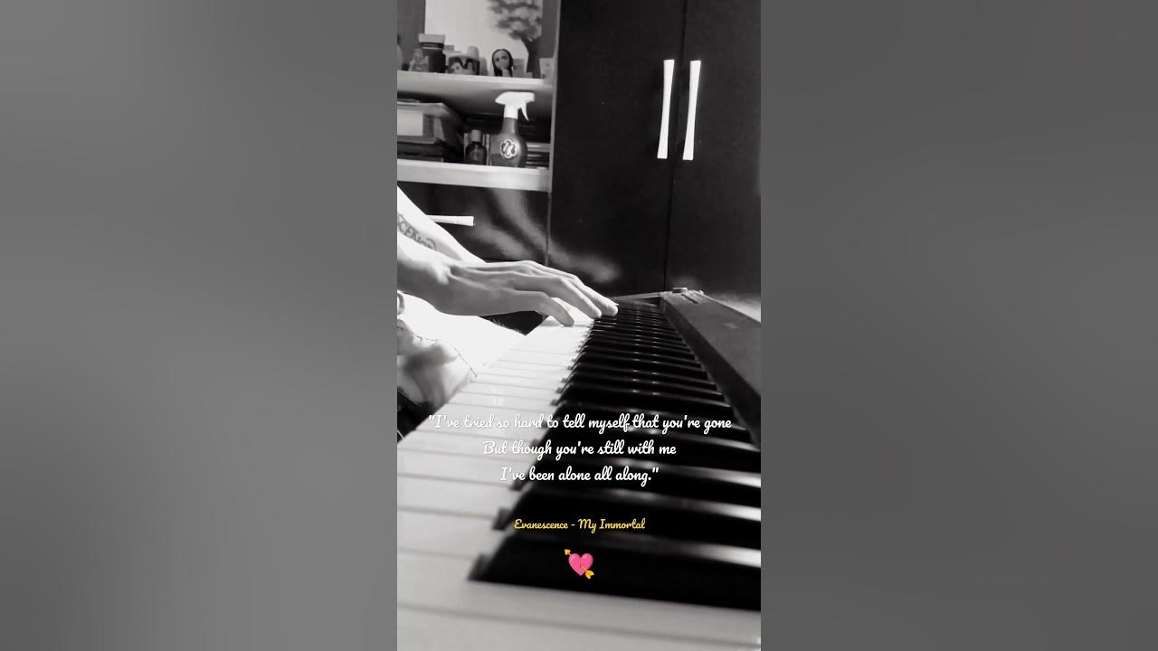 Evanescence - My Immortal (Live Version) Bridge
