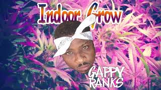 Gappy Ranks - Indoor Grow (Star Dawg Album Audio)