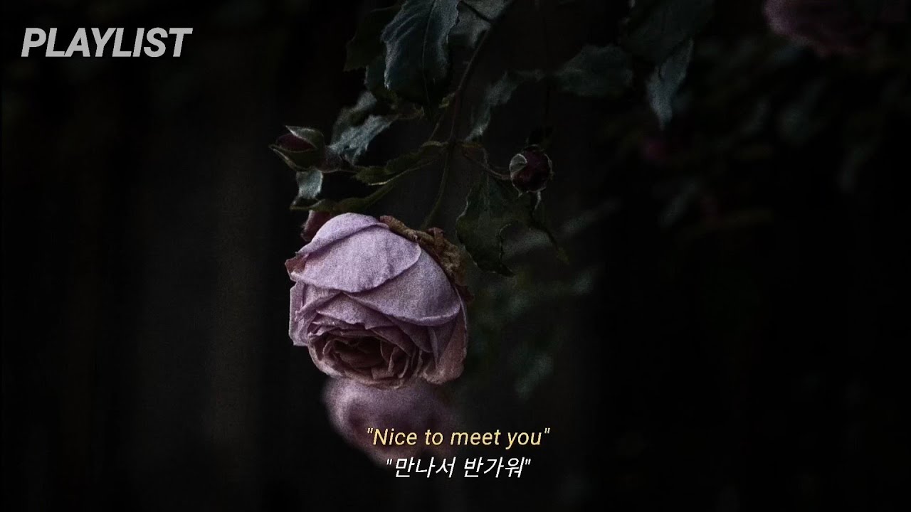 [Playlist] 여기까지 온 건 네 선택이야 l 위험한 집착광공 감성 플리