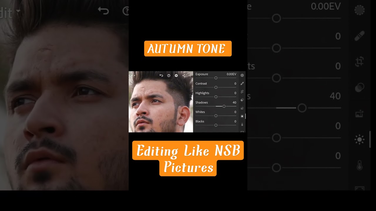 NSB Pictures ki trah AUTUMN TONE Kaise Bnaye | HD Editing Official  