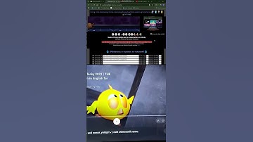 up to faster 24 parison chicky