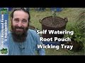Self Watering Root Pouch Wicking Tray