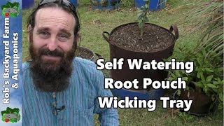 Self Watering Root Pouch Wicking Tray