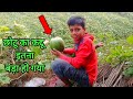 aaj chhotu bahut khus hai | kaddu bada ho gaya | Desi vlog