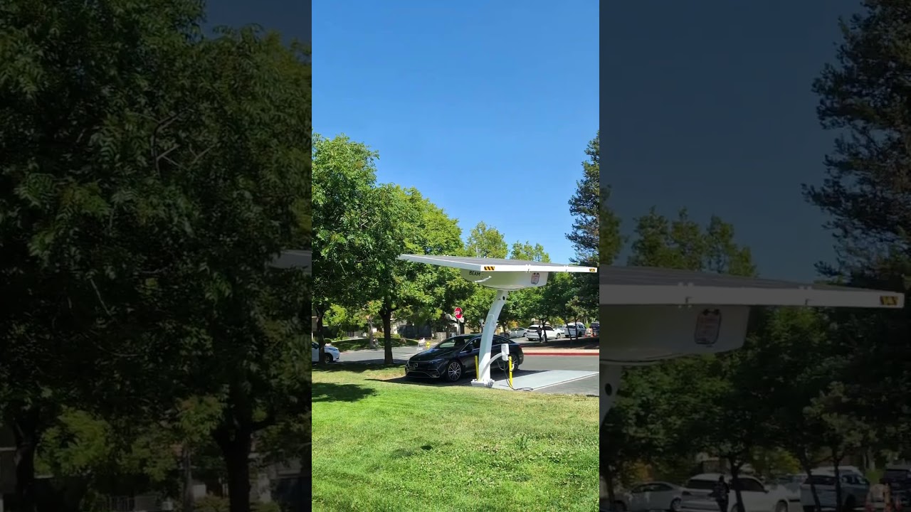 Flight of the Bird Plane