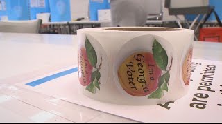A look at how Georgia's general election is shaping up | Political analysis