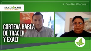 Corteva Habla De Tracer Y Exalt