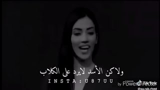 جميع حكم ميا في برنامج نقشت