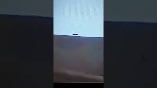 Flying Disker
