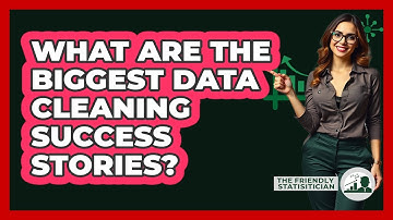 What Are The Biggest Data Cleaning Success Stories? - The Friendly Statistician