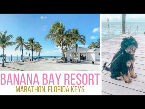 Banana Bay Resort Marathon Florida Keys