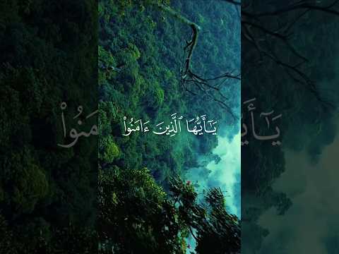 يأيها الذين آمنوا سورة البقرة القارئ محمد علاء الزويني دويتو تصميمي لايك اكسبلور راحة نفسية