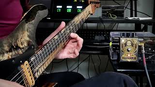 The solo everyone keeps asking me for... (long version) Beetronics Nectar Tone Sweetener