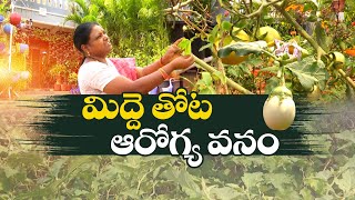 Organic Terrace Gardening | How Women Achieved Vegetable Forming? | Idi Sangathi