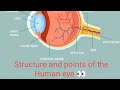Structure and points of human eye 