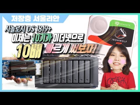시놀로지 DS1819+ | 왜! 굳이! DS1019+를 쓰다 바꾸려는 이유 (10Gbe)