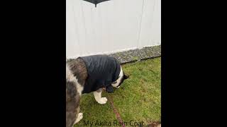 My Akita Rain coat