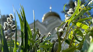 ЗІ СВЯТОМ, ДОРОГІ ДРУЗІ!🌿🌿🌿БОЖЕСТВЕННА ЛІТУРГІЯ У ДЕНЬ СВЯТА ВХОДУ ГОСПОДНЬОГО В ЄРУСАЛИМ