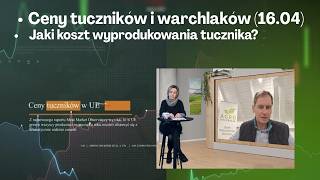Ceny tuczników jeszcze się bronią. Tańszy import zwiększa presję
