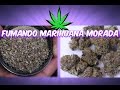 Fumando marihuana morada Gelato