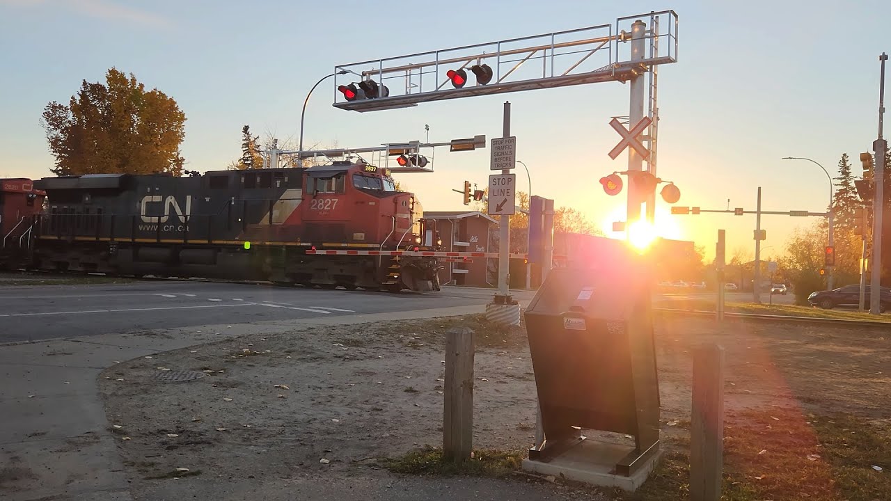 CN 2827 Leads a Northbound L597 (10/11/2024)