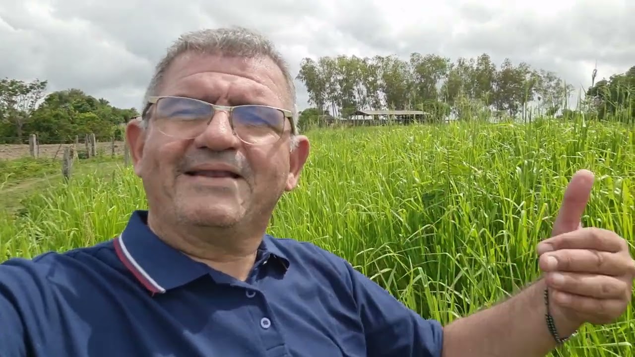 Recomendação do uso da pastagem de Zuri.