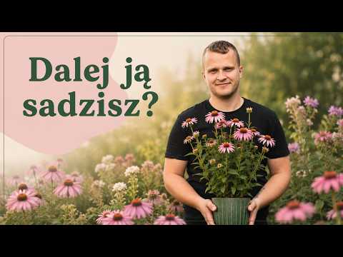 YOU DON'T KNOW THIS ABOUT CONEFLOWERS!
