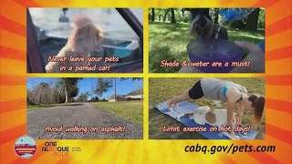 Albuquerque Animal Welfare reminds public to keep pets safe when temperatures rise