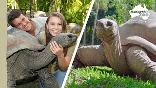 Bindi & Chandler hang out with Igloo the tortoise | Irwin Family Adventures