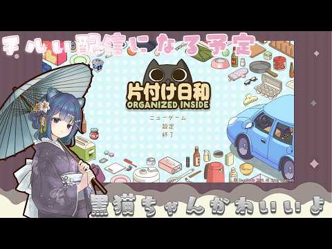 【片付け日和】黒猫ちゃんにデレデレする　チルい配信がしたい…【＃新人Vtuber】の配信サムネイル
