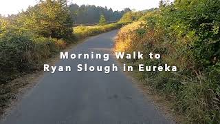 BEAUTIFUL MORNING WALK To Ryan Slough in Eureka California, Nature GO PRO HD by Don Chin 94 views 1 year ago 17 minutes