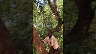 roterotehasnasikhoafrica