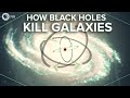 How Black Holes Kill Galaxies