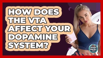 How Does The VTA Affect Your Dopamine System? - Habit Hacks Hub