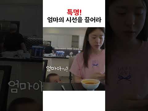이렇게 귀여운데 어떻게 안 봐요