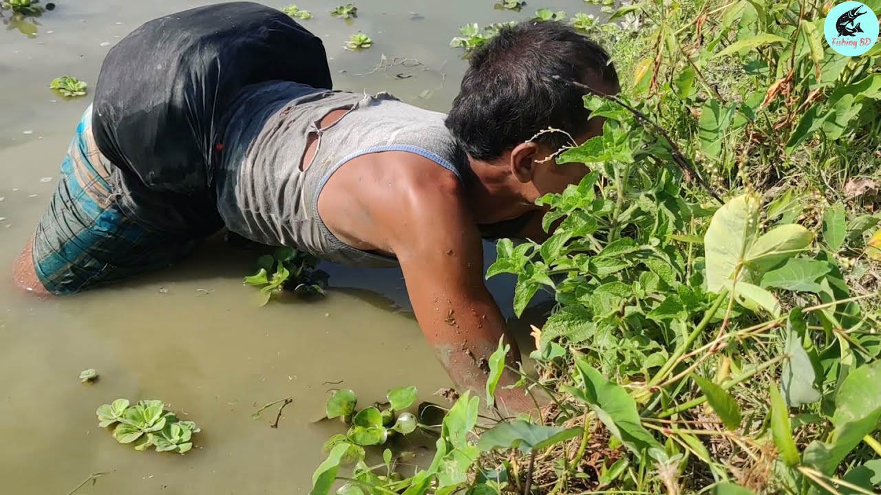 Rural Eel Fishing  Video  | Expert Man Catching Yellow Eel From Beside The Pond-Hole