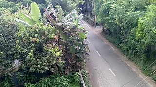 CCTV VIDEO 21 august  cctv | footages | security | news | home | how | to | capture | screenshot 3
