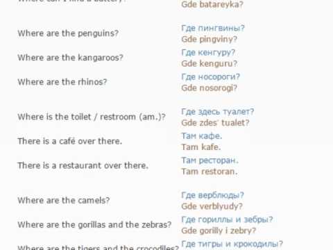 Russian lesson/English lessons how to study Russian  43 (At the zoo)