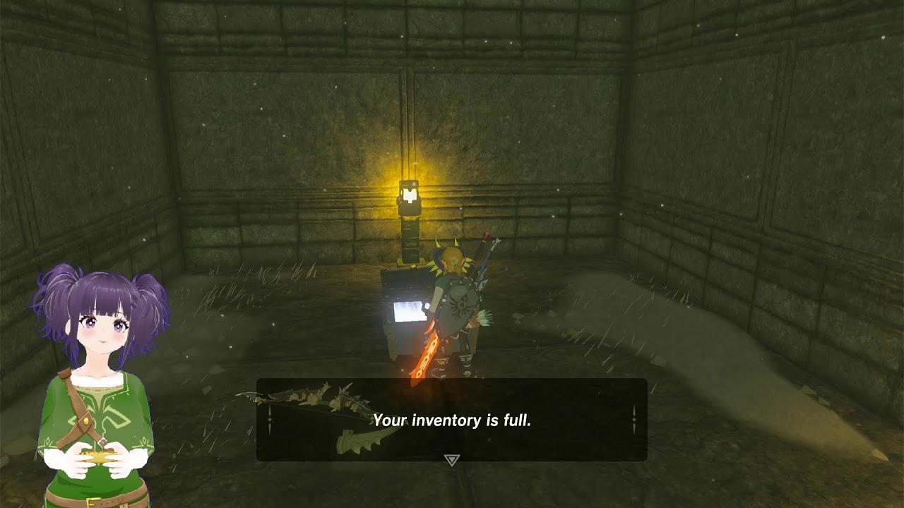 Adventures with Link in Breath of the Wild! Day 9! ♥