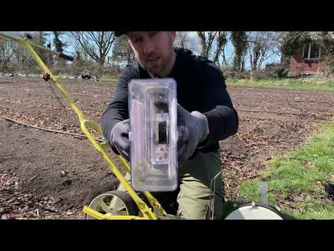 Video: At dyrke rucola: Sådan opdrættes rucola i din have