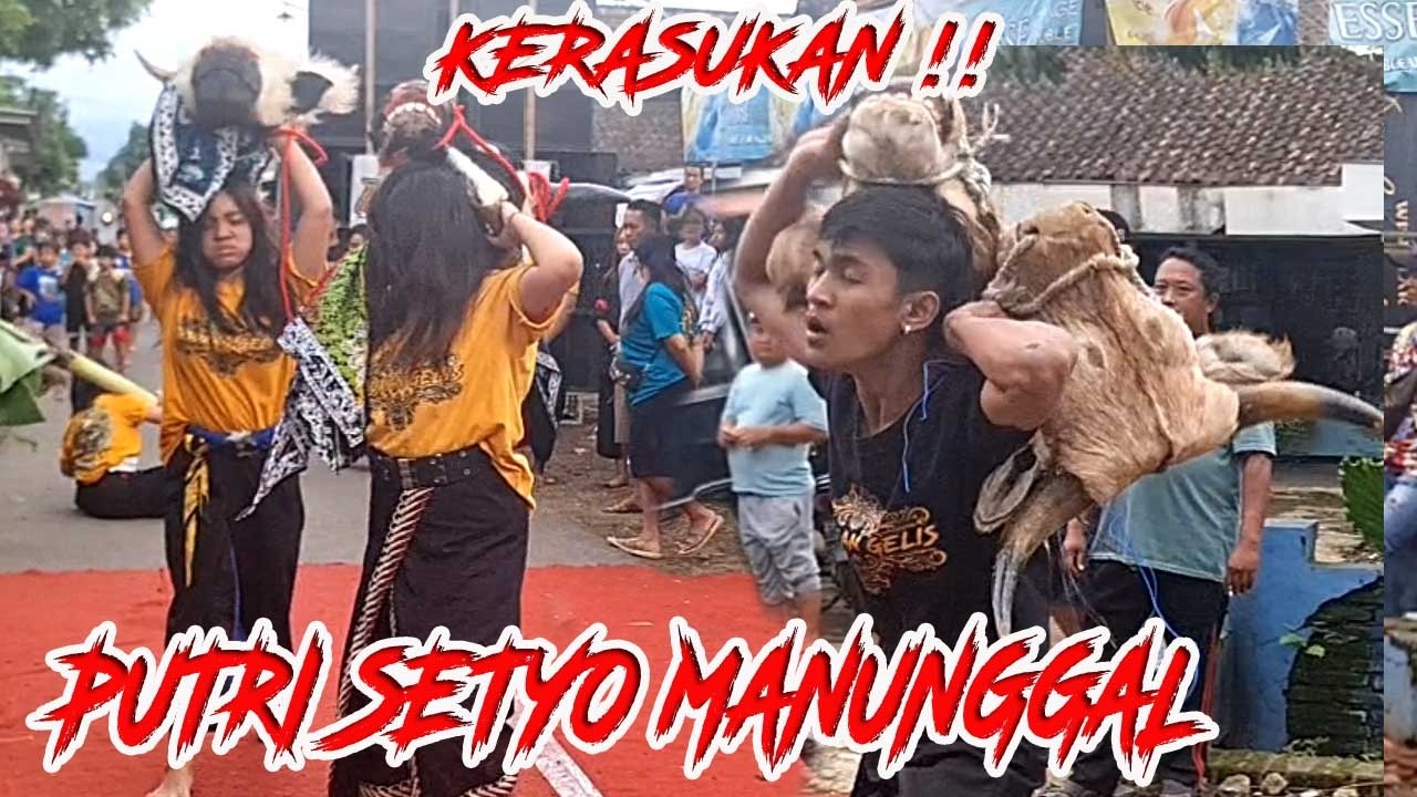 AKSI KALAPAN BANTENGAN PUTRI SETYO MANUNGGAL BIKIN HEBOH‼️ Bocil Nakal Kocar-Kacir!