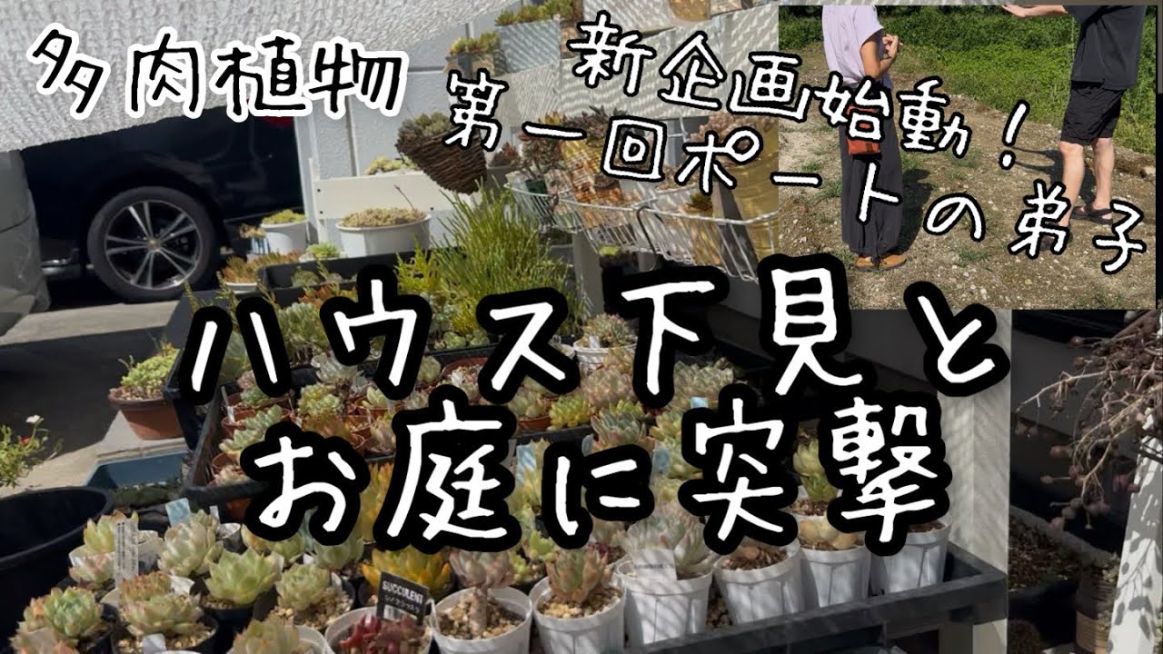 Succulents] #1 House inspection and listener's home raid! [Port's
