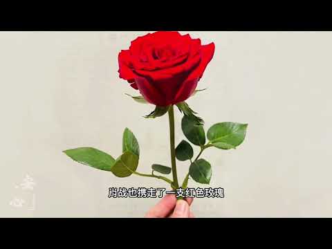 肖戰，那年的花海寫滿了你的名字，紅海的遺憾終于彌补！