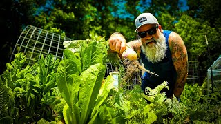 Know when and why to delay planting by Sandy Bottom Homestead 1,123 views 2 weeks ago 8 minutes, 9 seconds